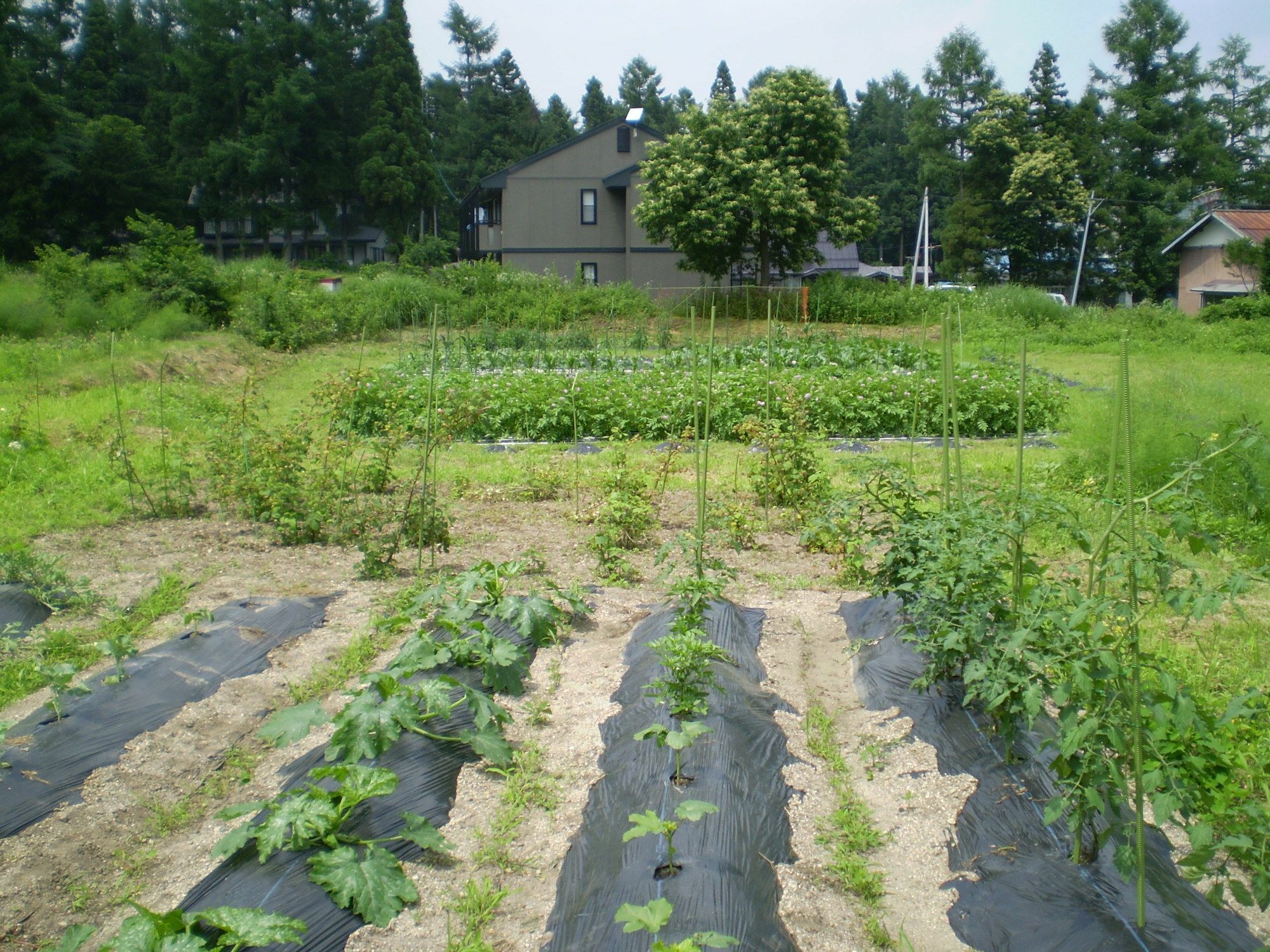 ペンション ちゃうちゃう Bed & Breakfast Hakuba Bagian luar foto