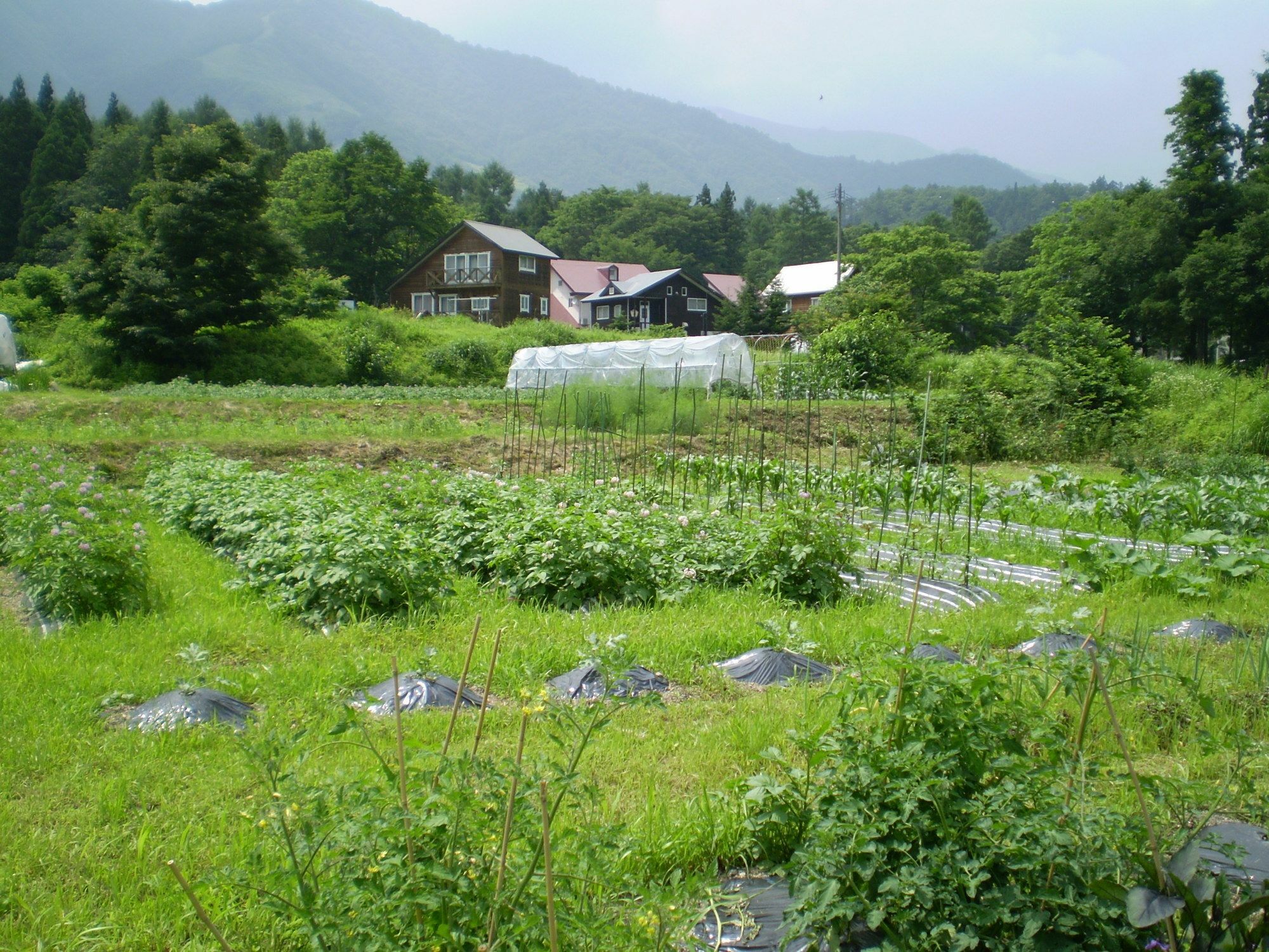 ペンション ちゃうちゃう Bed & Breakfast Hakuba Bagian luar foto